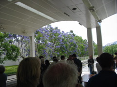 IMG_2709.JPG