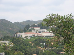 IMG_2714.JPG