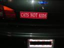 catsnotkids.jpg